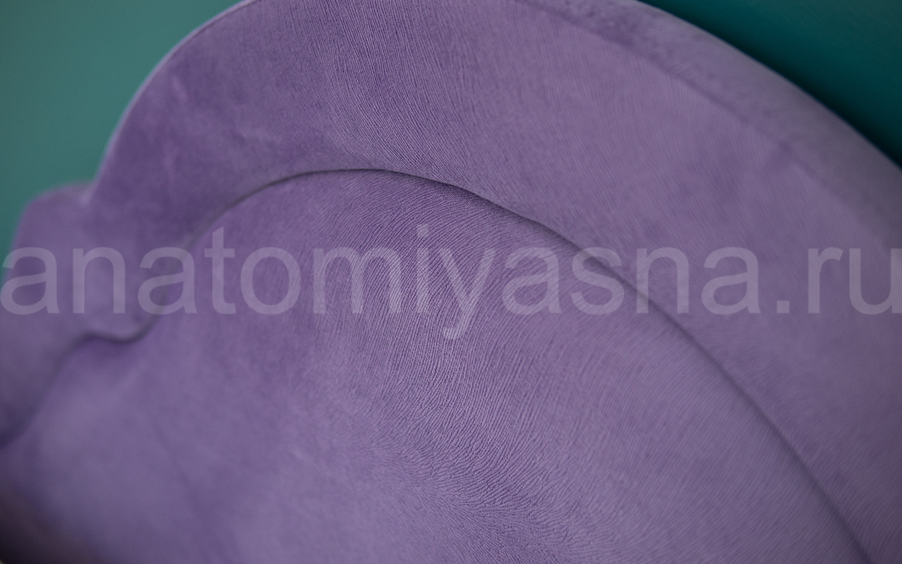 ProSon Vintage фото 17